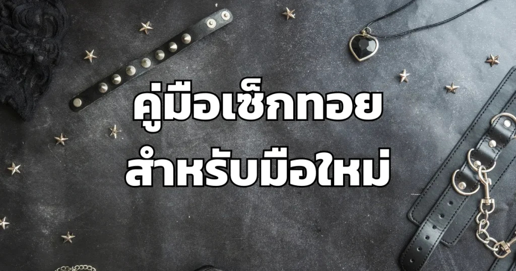 คู่มือเซ็กทอย สำหรับมือใหม่