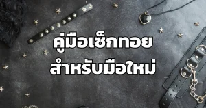 คู่มือเซ็กทอย สำหรับมือใหม่
