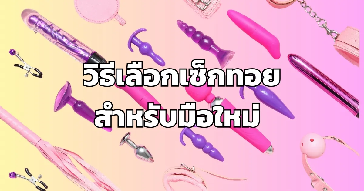 วิธีเลือกเซ็กทอยสำหรับมือใหม่