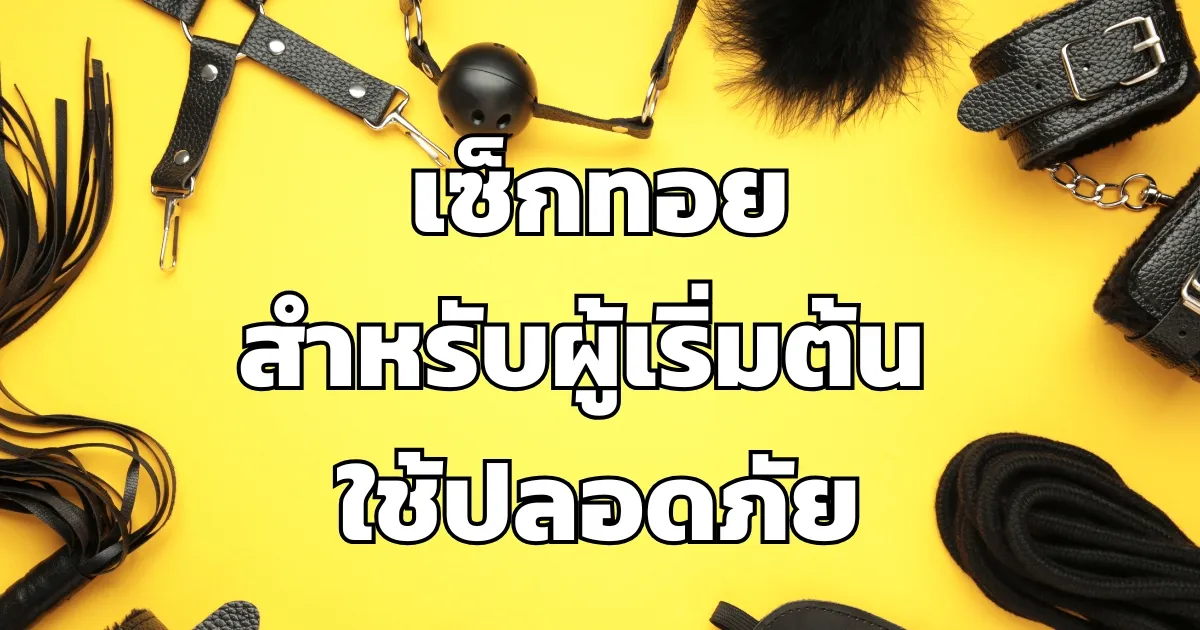 เซ็กทอยสำหรับผู้เริ่มต้น ใช้ปลอดภัย