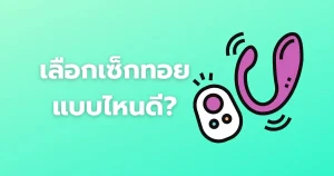 เลือกเซ็กทอยแบบไหนดี